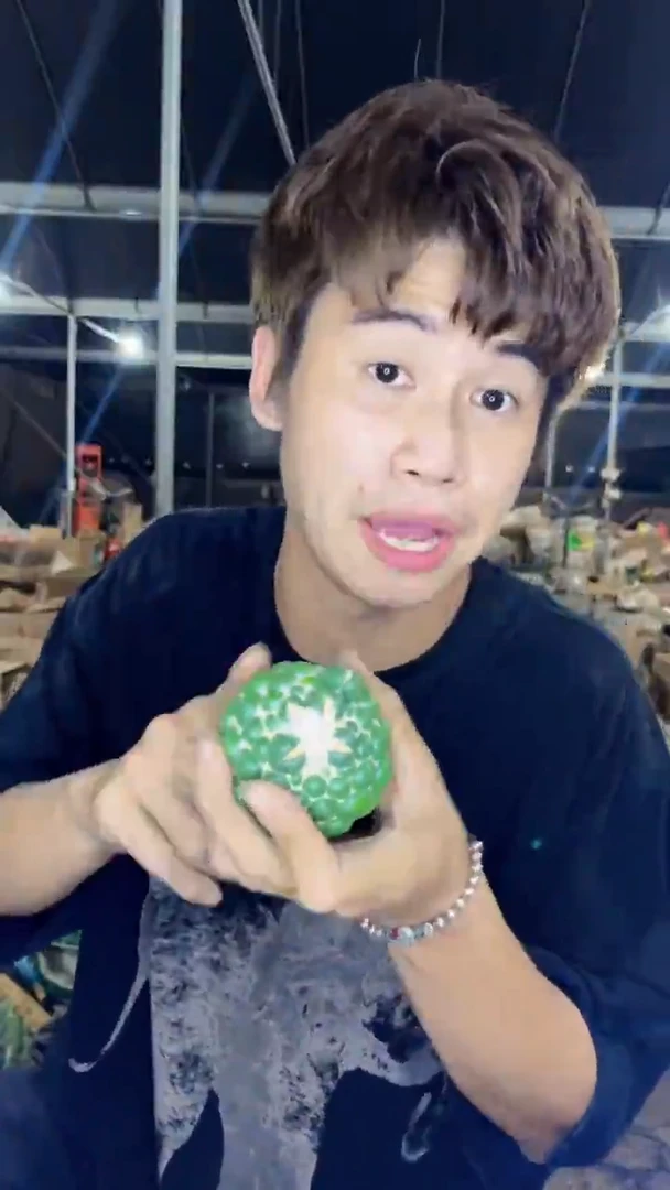 蜘蛛眼 无刺象牙【无根】5cm 左右