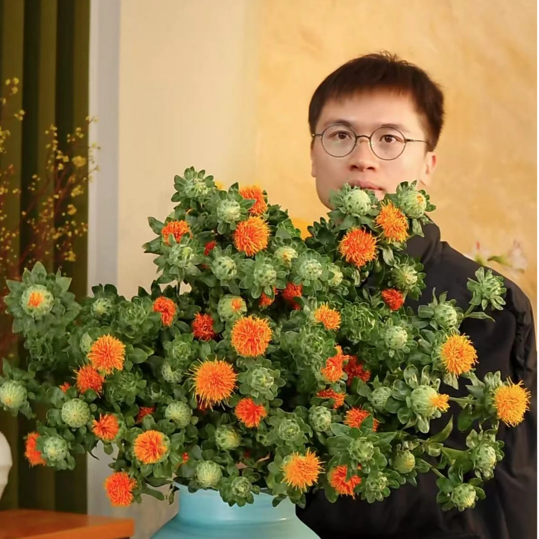 【橙菠萝】鲜切独特小众氛围感明亮可做干花