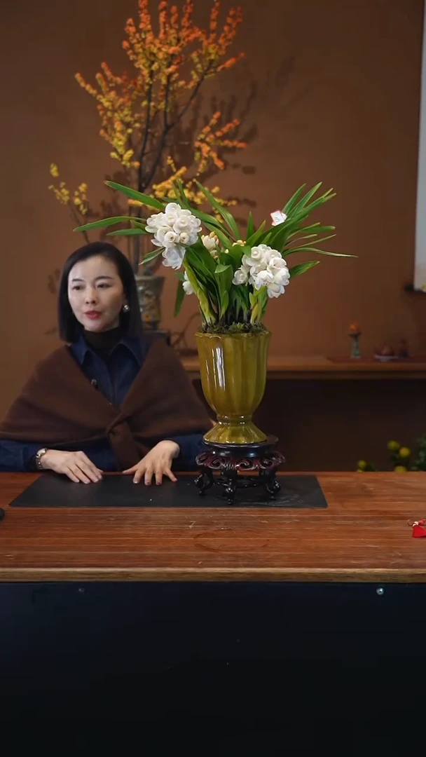 全部花朵小仙女盆景盆景盆景