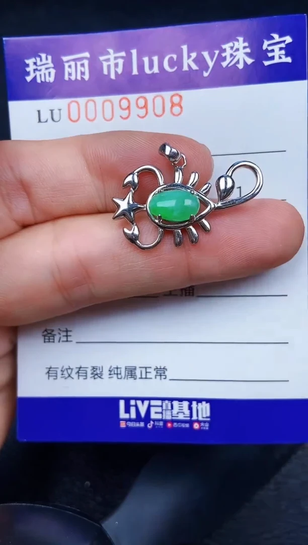 翡翠银S925镶嵌颈饰9908