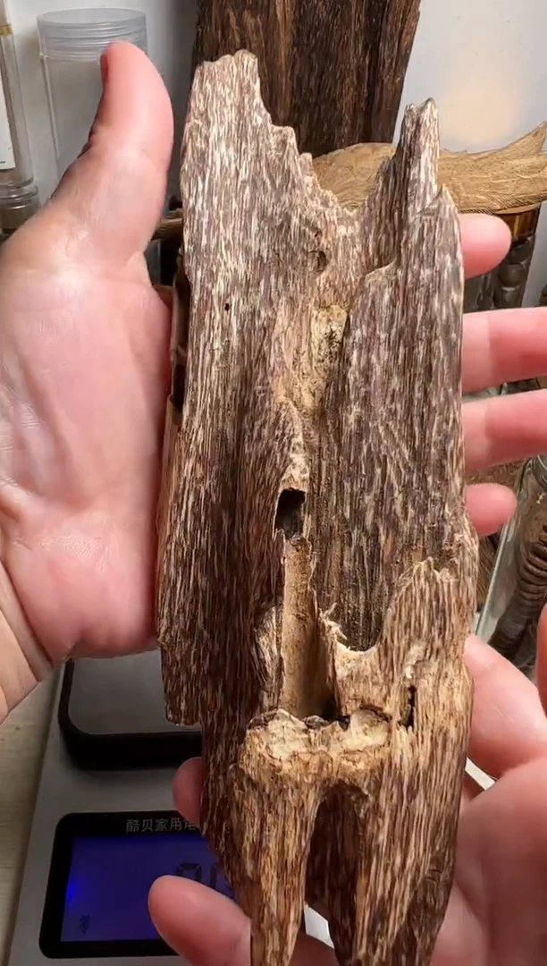 沉香沉香碎屑都蓬沉香虫漏76克