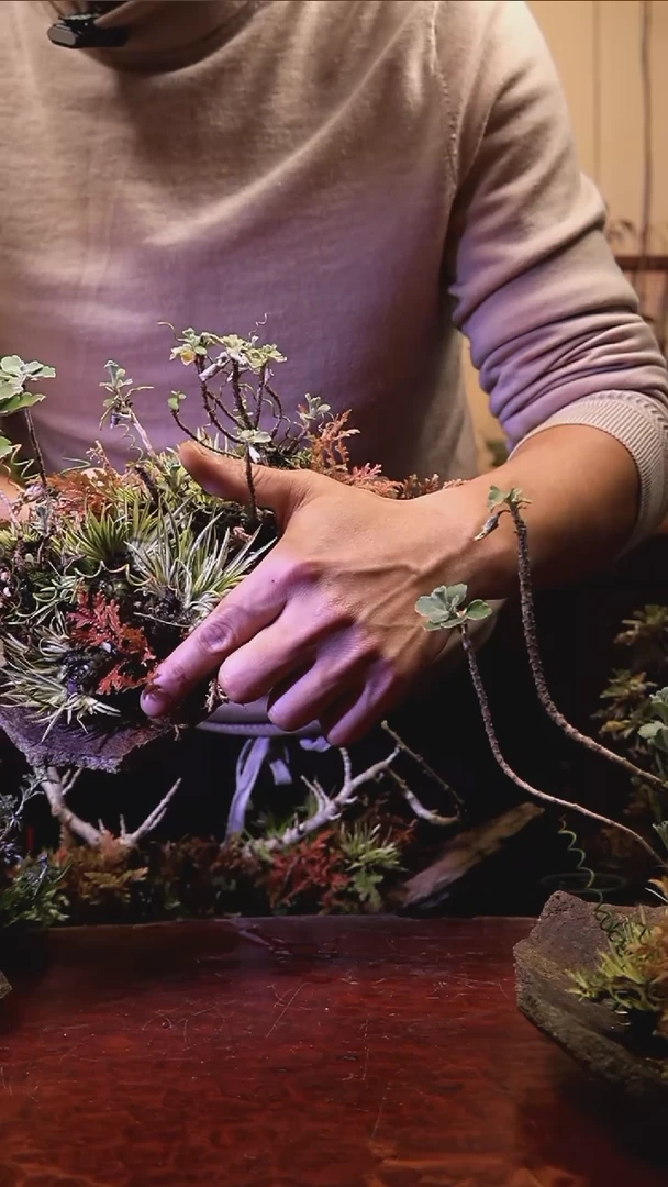 【闪购商品】hggjkh