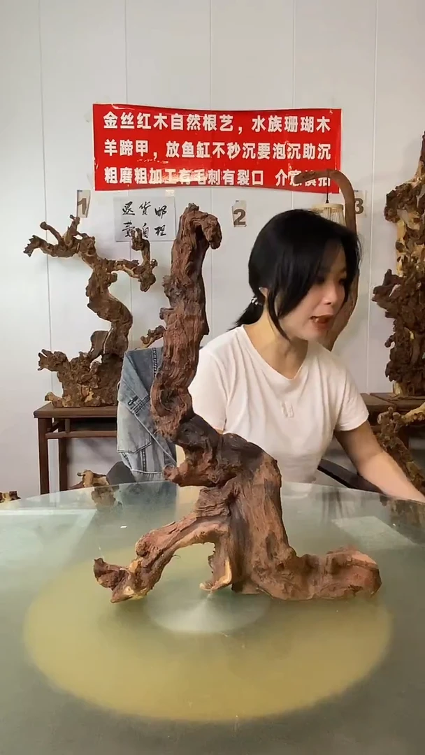 香榧木我*豆金丝红木 羊蹄甲
