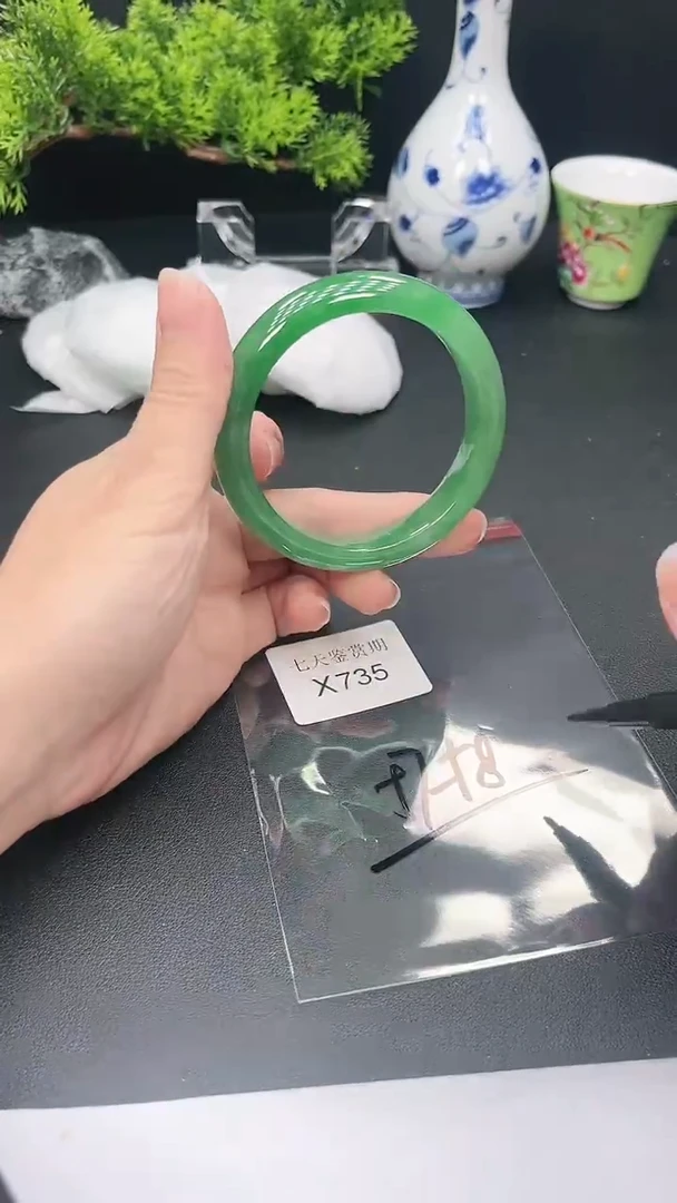 未镶嵌手镯翡翠735