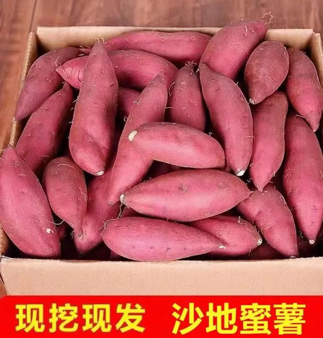 河南蜜薯超甜沙地黄心红薯龙九地瓜番薯软糯香甜现挖现发