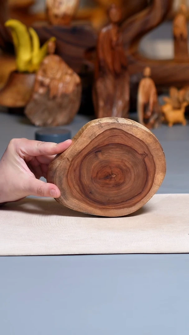 香樟木切片3897.