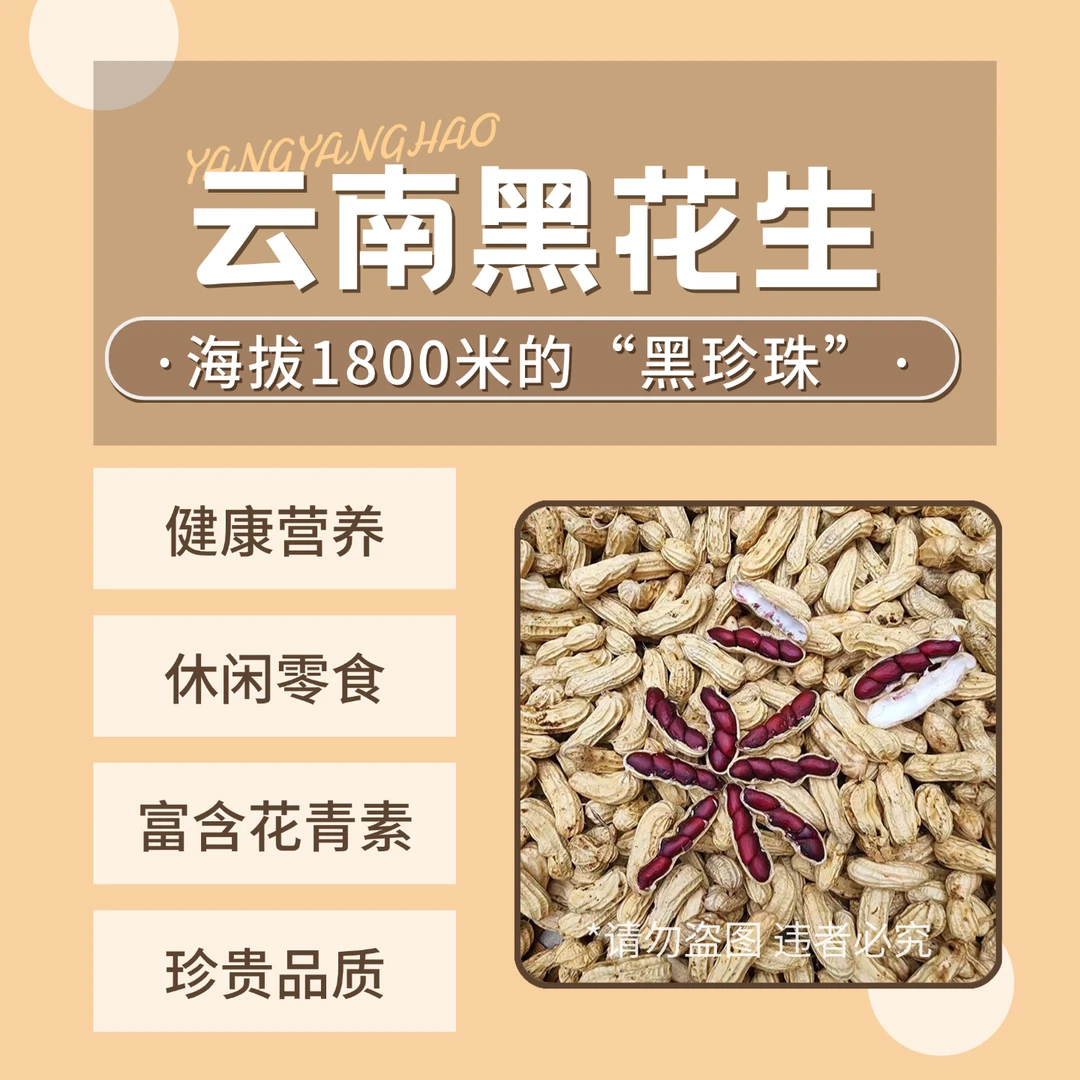 【1/3/5斤】云南高山2025富硒黑花生富含花青素醇香口感