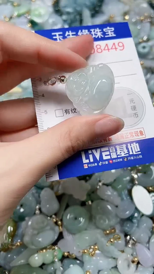 【闪购商品】翡翠颈饰未镶嵌闪购00008449