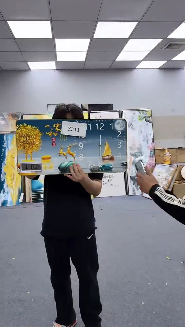 孤品微瑕黑马闪购Z311