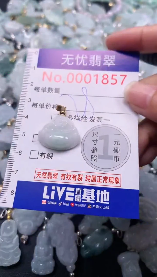 颈饰未镶嵌翡翠1857