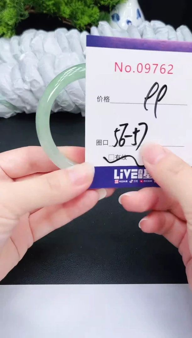 未镶嵌手镯翡翠9762