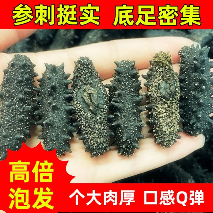 【专属优惠】正宗大连淡干海参深海辽刺参海参淡干海参高倍泡发率