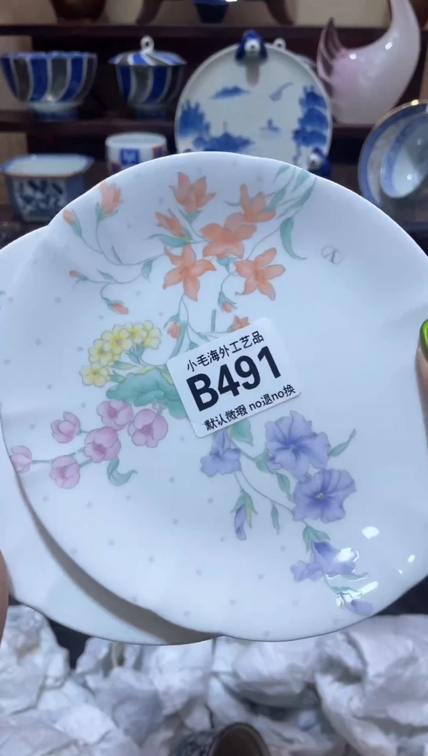 瓷片品*           B491