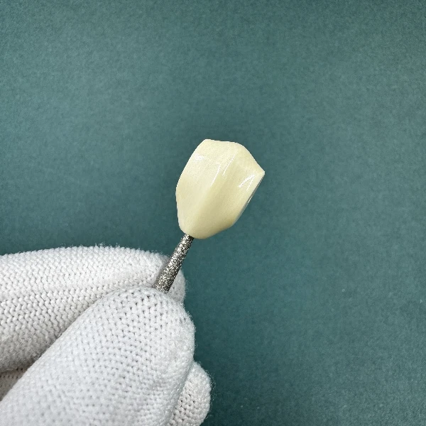 M1827天然猛犸牙 玉龙6A鲨鱼背支持鉴定假一罚四