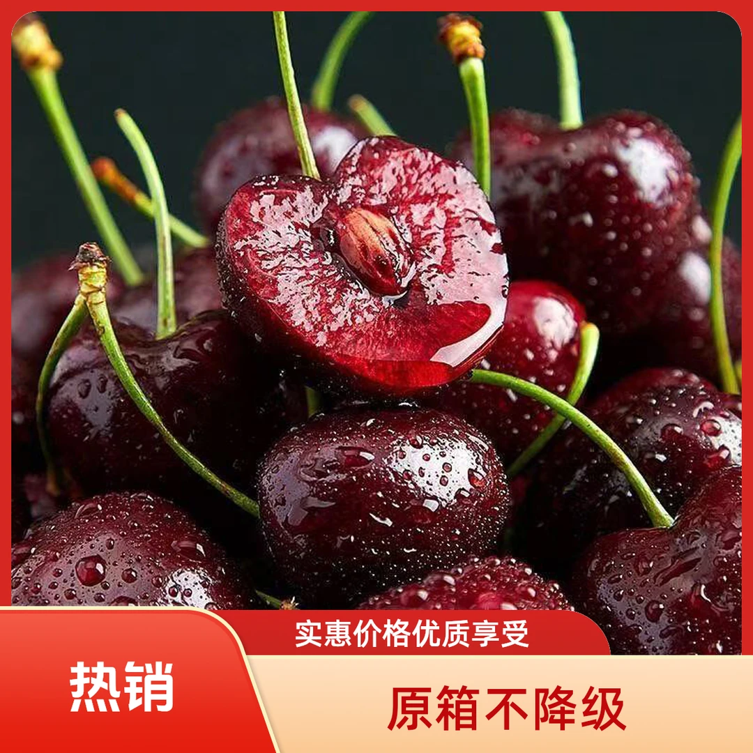 海【原箱五斤】JD原箱智利海运进口车厘子应季水果脆甜内附果径卡g桑提娜樱桃智利共和国