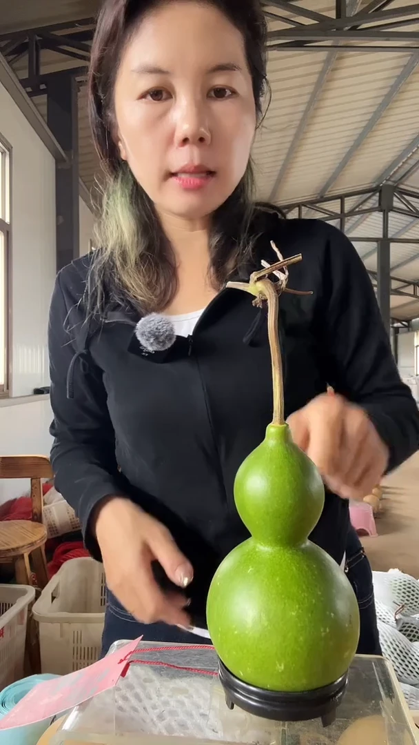 无花朵397天然葫芦摆件 一物一拍龙头不保售后