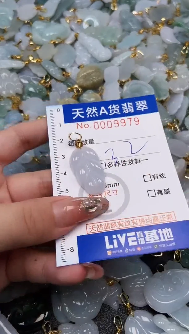 翡翠未镶嵌颈饰天然A货翡翠