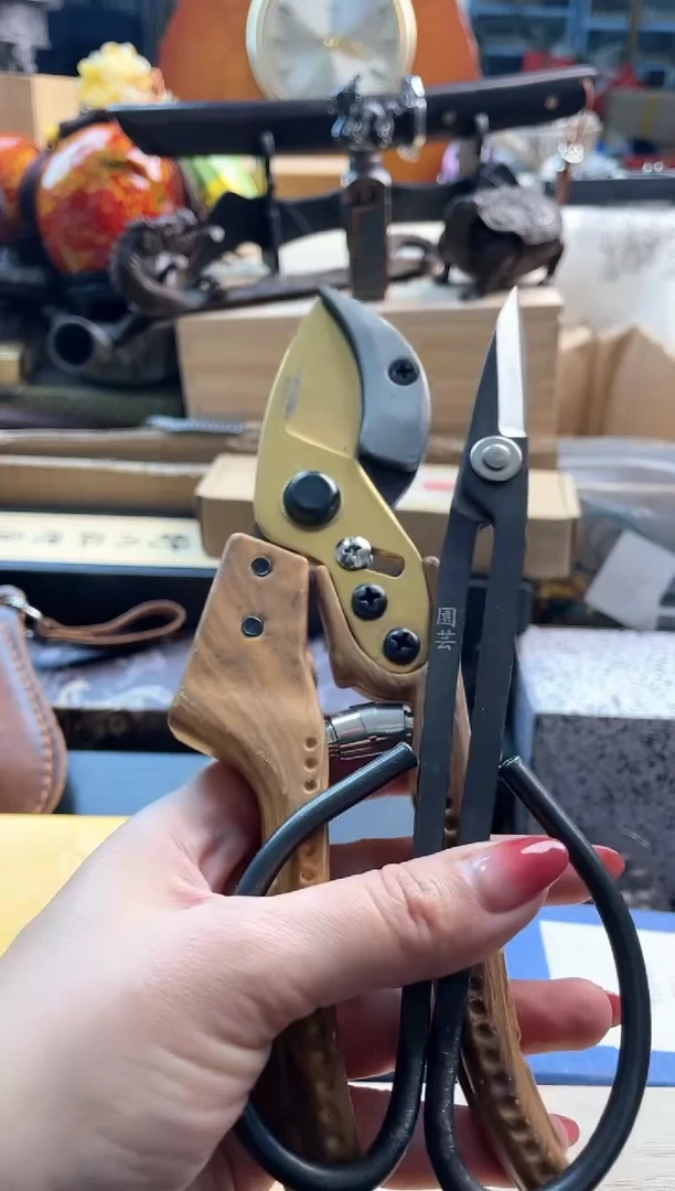 【闪购商品】瓷片 jianz88888888888888