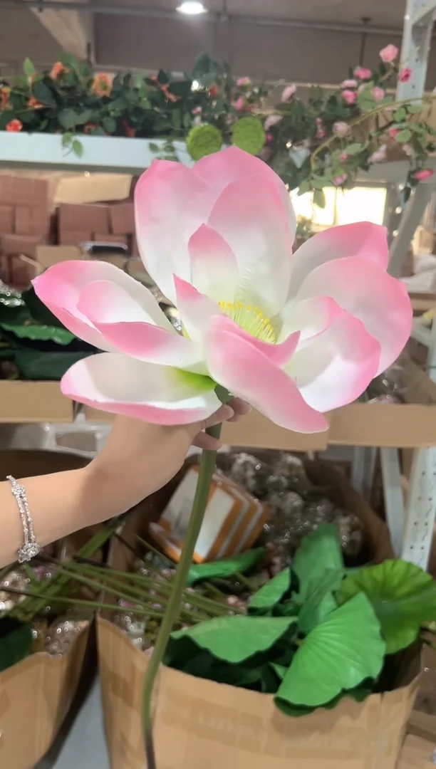 一支粉色荷花装（）