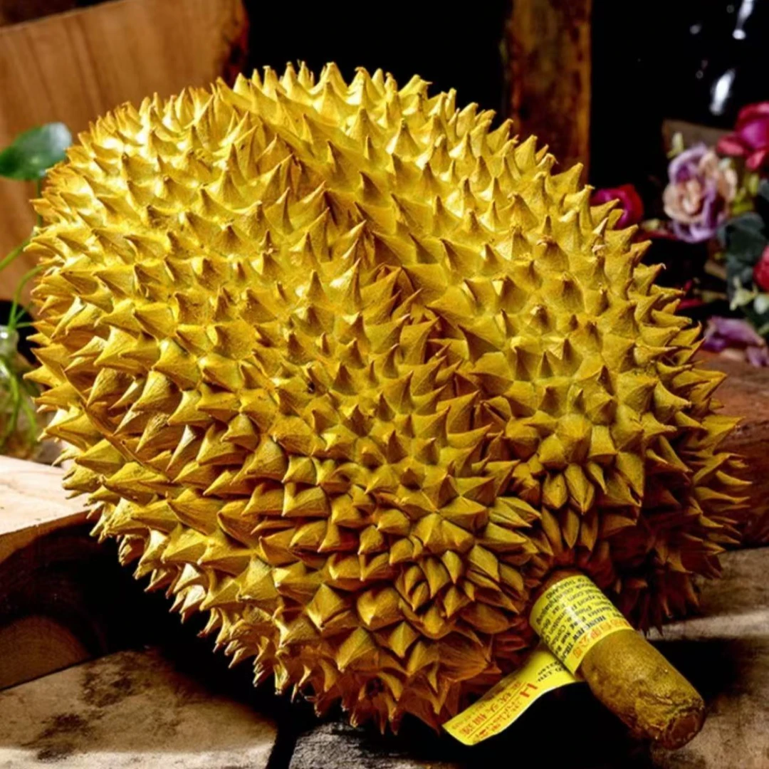 【小鲜女】柳州同城 新鲜树上熟金枕 228元得1.9斤~2斤纯果肉 核小金枕泰国金枕泰国