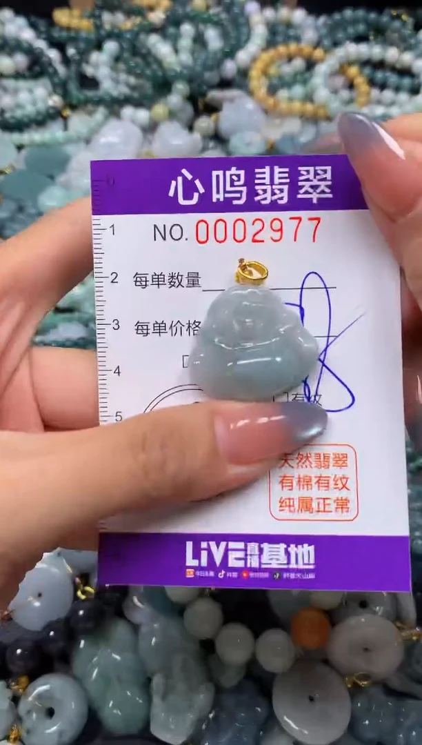 颈饰未镶嵌翡翠闪购002977