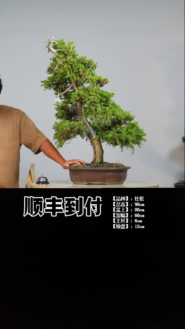 无花朵a082杜松bubaoyou、