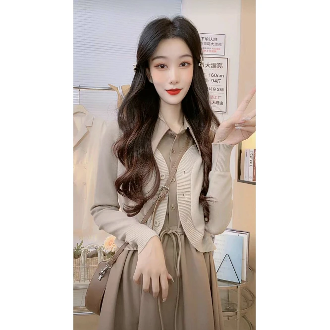 【大漂亮推荐】秋季新款长袖连衣裙 W26LYQ098