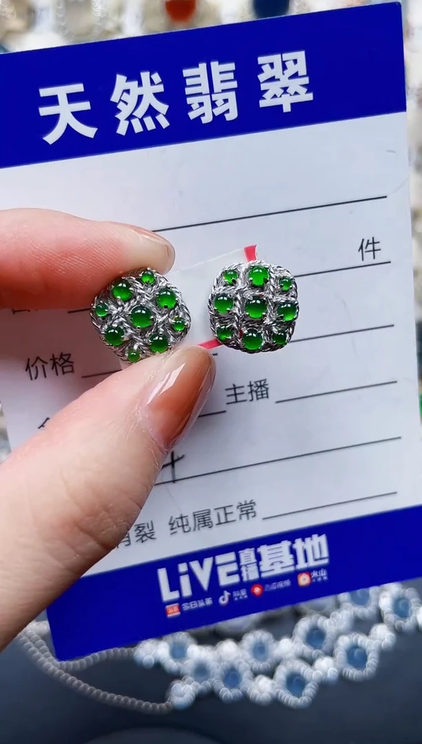 银S925镶嵌翡翠耳饰224
