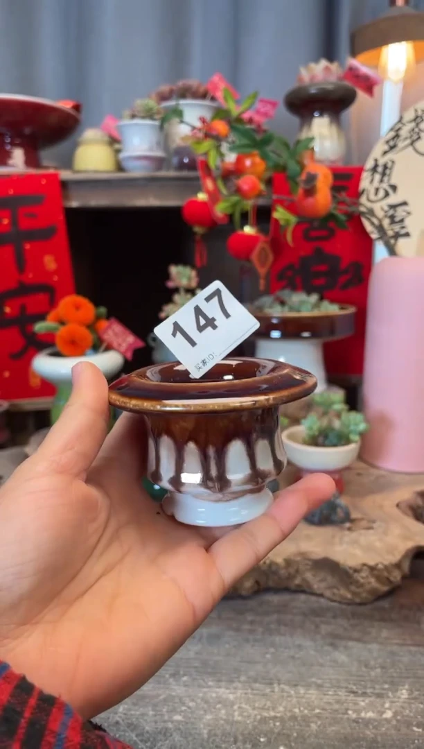 【闪购商品】摆件147知木小芳花盆
