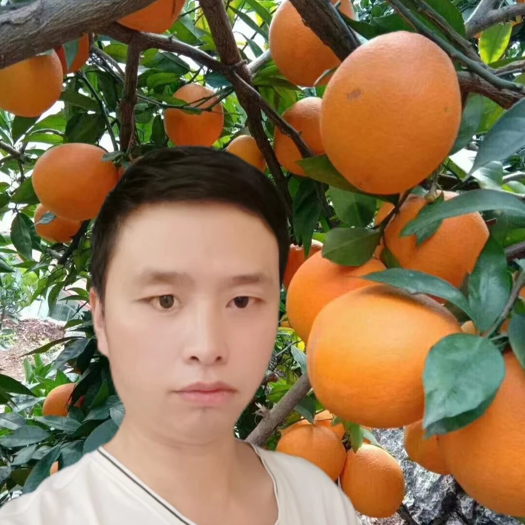 大凉山雷波脐橙.皮薄肉厚.新鲜采摘当季水果果园直发