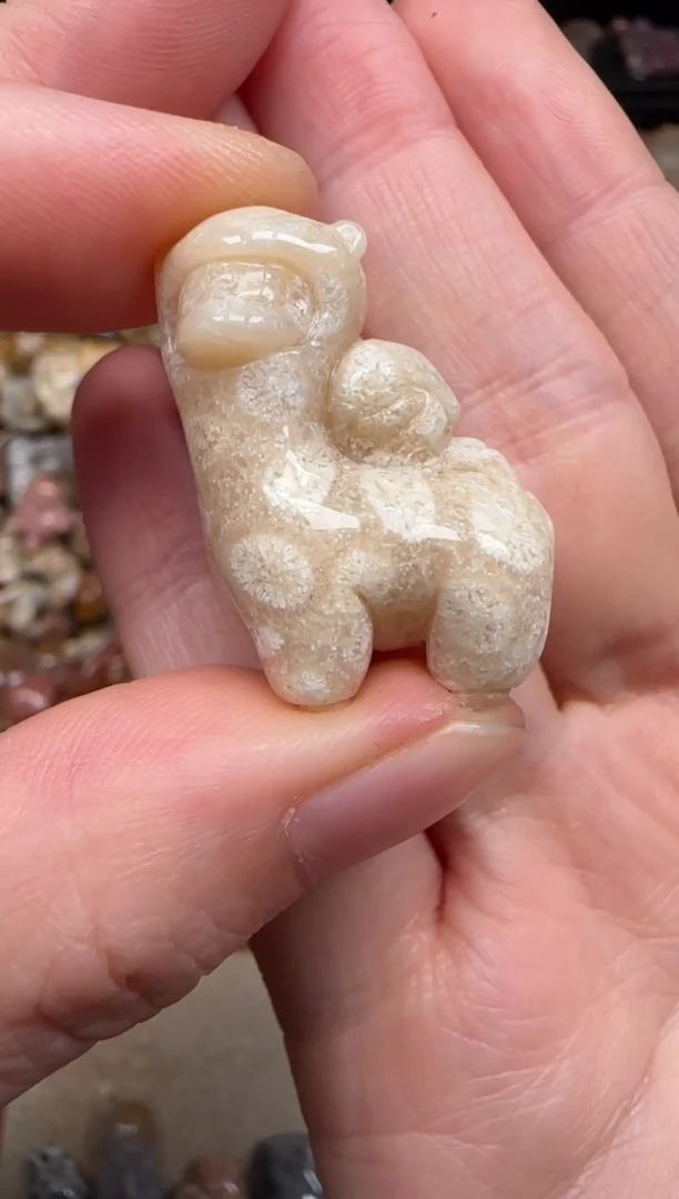 硅化珊瑚（珊瑚玉）未镶嵌颈饰785