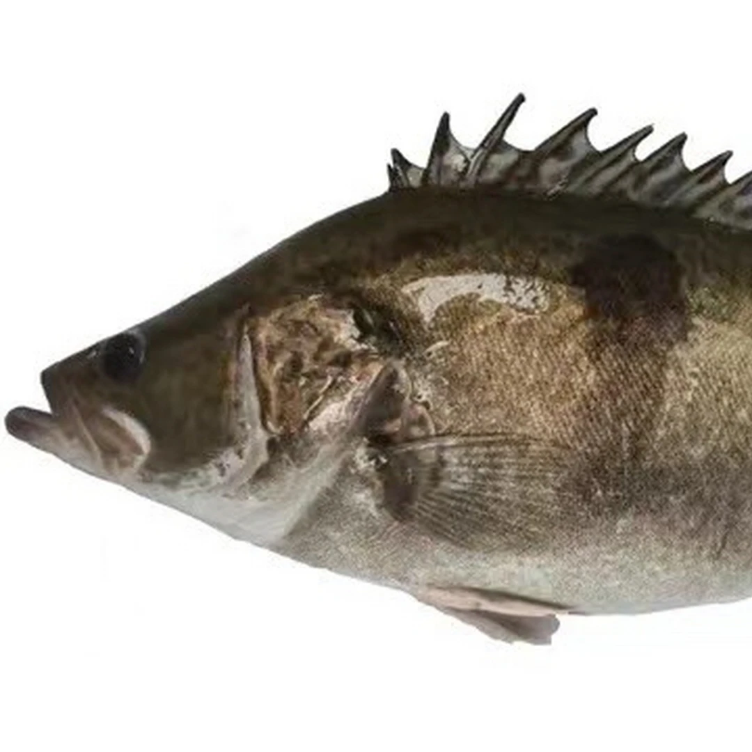 鲜活鳜鱼(650g/条)