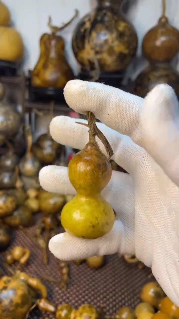 【闪购商品】葫芦葫芦葫芦葫芦