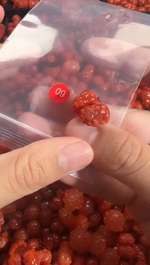 颈饰未镶嵌南红玛瑙1