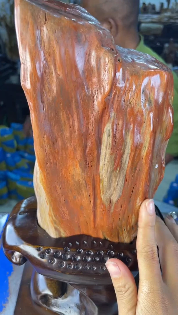 未镶嵌摆件硅化玉52