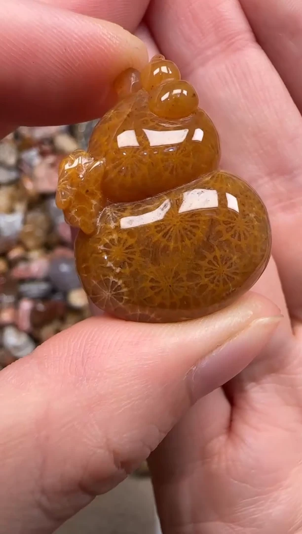 硅化珊瑚（珊瑚玉）未镶嵌颈饰174