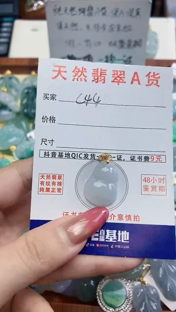 颈饰未镶嵌翡翠天然A货翡翠挂件