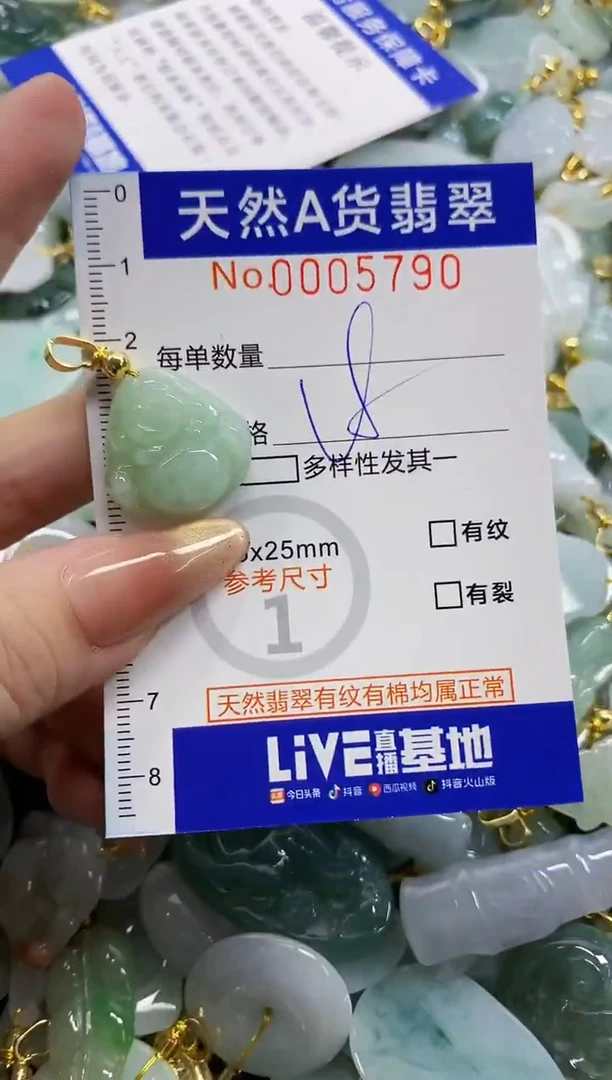 颈饰未镶嵌翡翠天然A货翡翠