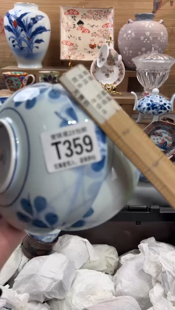 瓷片青**贝      T359