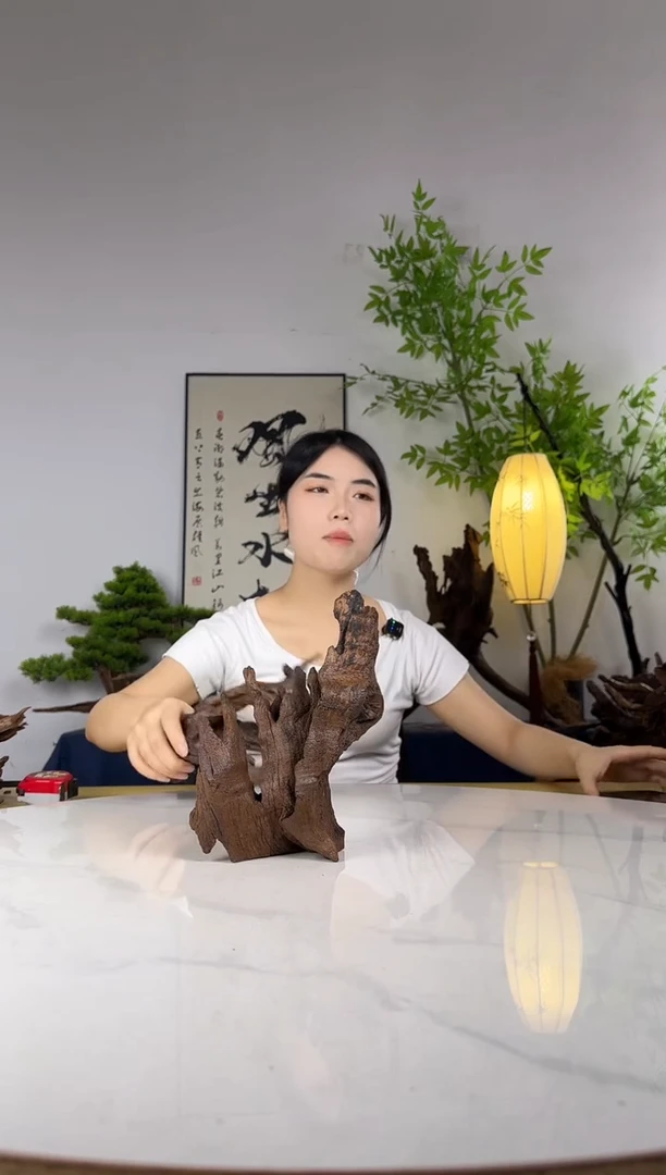 钱***?拍这个定向编号2