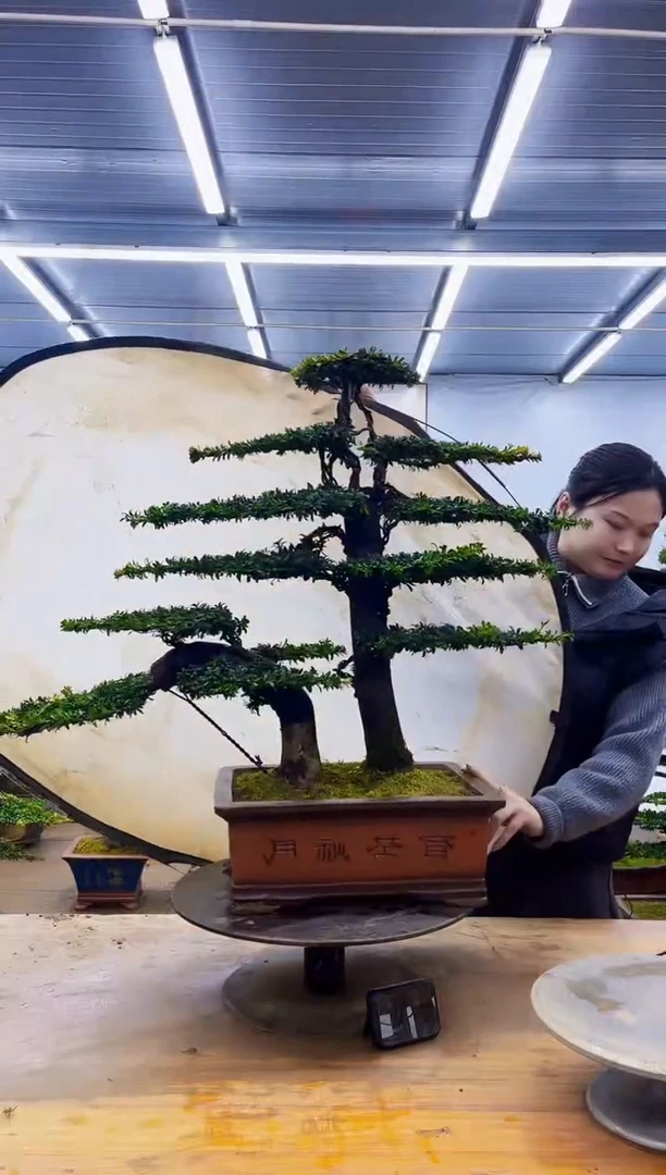 无花朵一物一拍·所见即所得