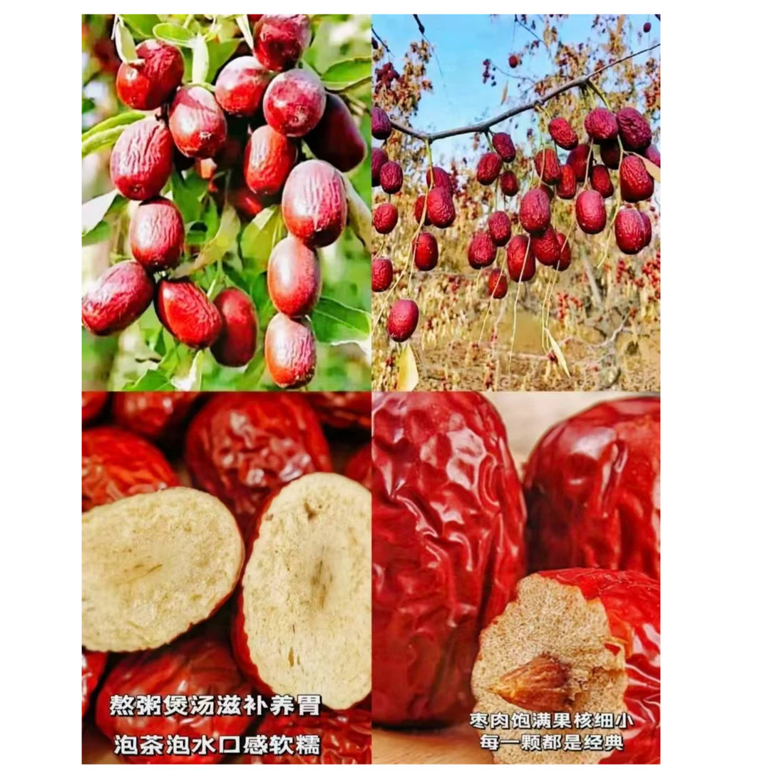 新疆若羌米兰原枣产地直发