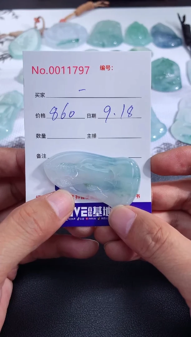 颈饰未镶嵌翡翠一**涯一