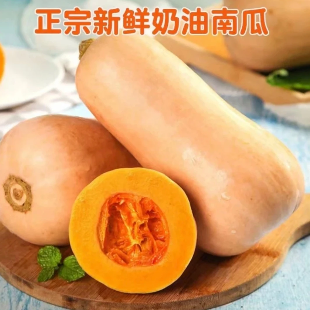 【现采现发】香甜软糯南瓜当季时令奶油南瓜自然健康实惠产地直发货
