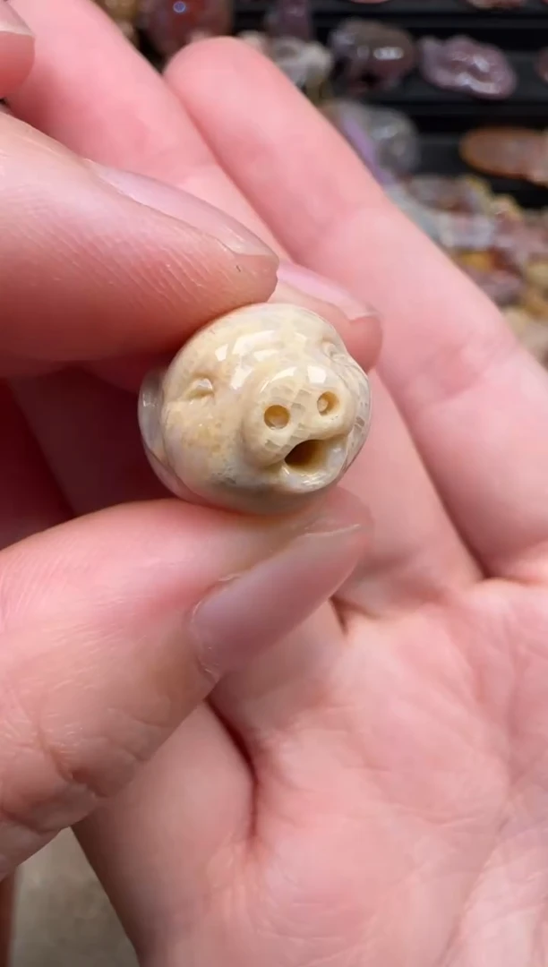 颈饰未镶嵌硅化珊瑚（珊瑚玉）041