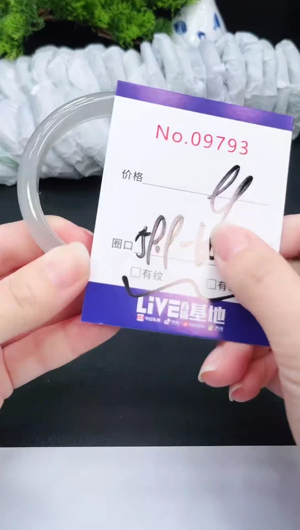 未镶嵌手镯翡翠9793