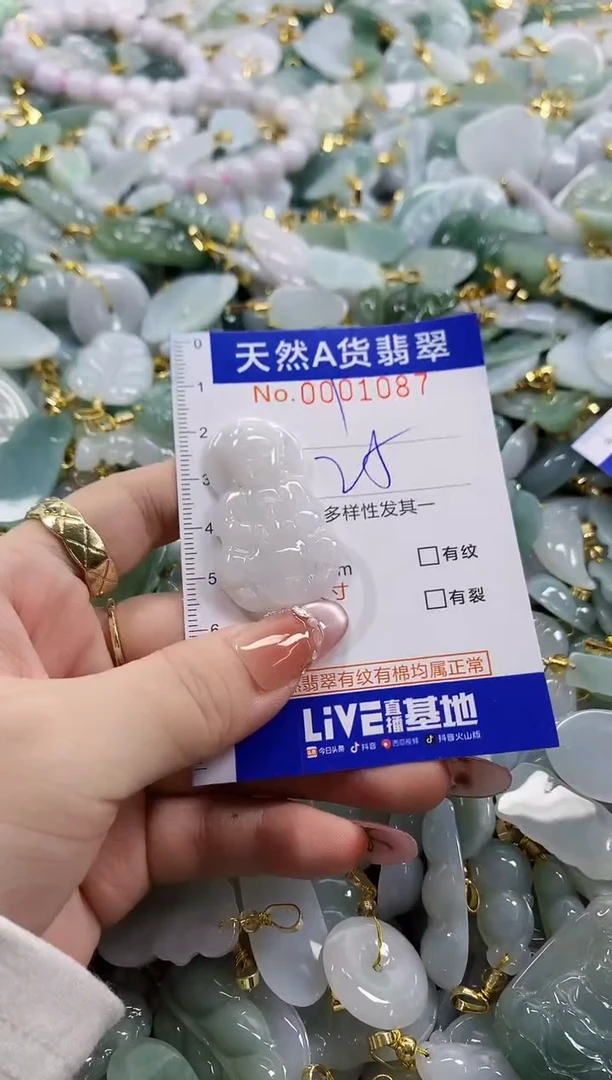 颈饰未镶嵌翡翠天然A货翡翠
