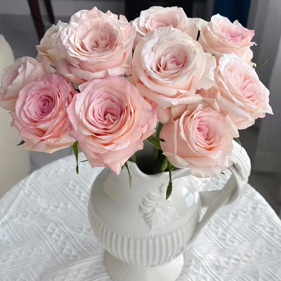 【金佰利单头玫瑰10支】全鲜花次日达批发直播品质鲜花 全场任意满两单顺丰包邮