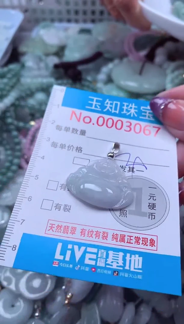 翡翠未镶嵌吊坠(不含链)3067