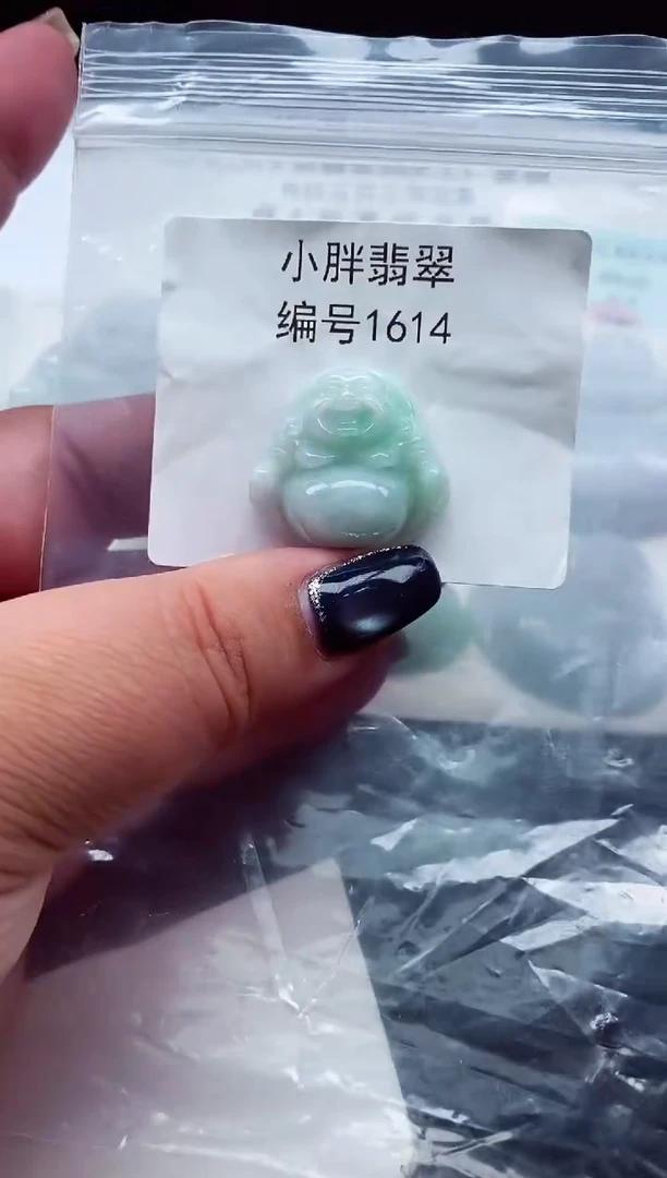 颈饰未镶嵌翡翠缅甸天然A货翡翠1614